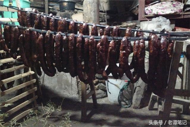上山观夹子最新视频，山野之旅的温馨与友情深度交流