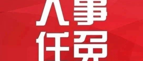 瓯海最新人事任免，深度分析与观点阐述