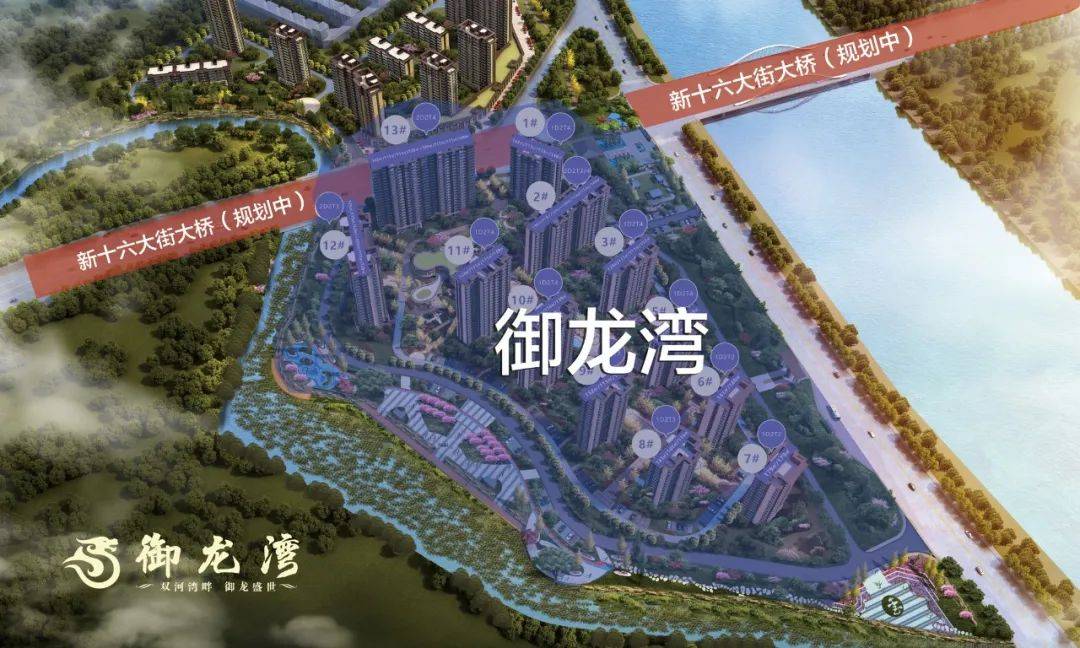 信阳龙都最新动态更新,最新消息与进展