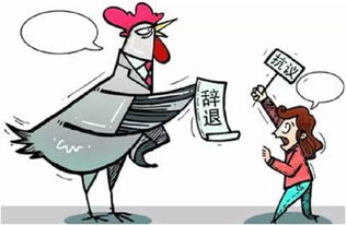 国企员工辞退最新规定,探索自然美景之际的员工权益保障之旅
