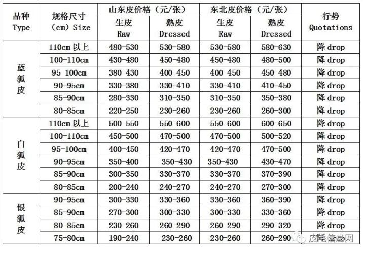 今日大营皮毛市场最新行情与温情故事回顾