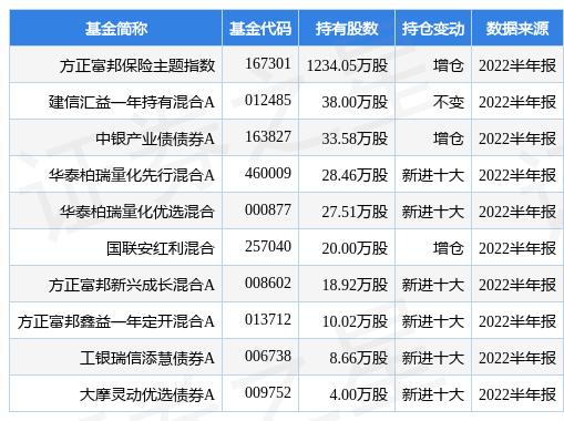 新华成长基金最新净值,时代的见证与成长力量展现