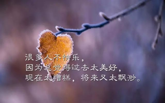小红书分享，最新唯美语录经典汇总