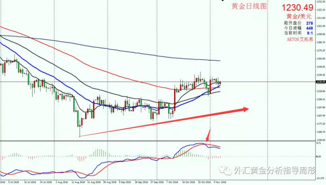 外汇黄金最新走势解析，探索自然美景的黄金之旅动态