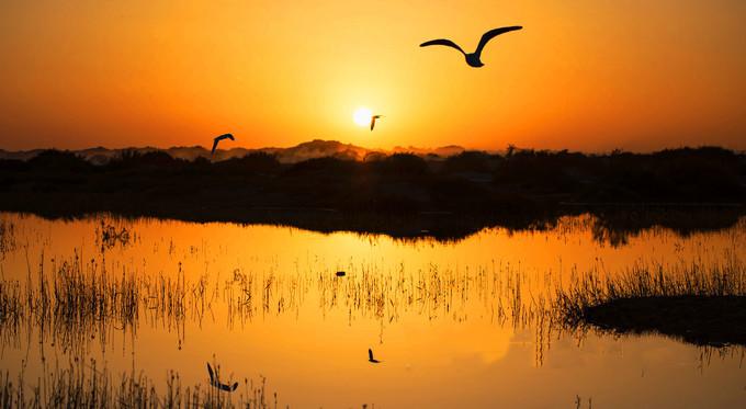 居延海门票购买指南,最新门票信息及购买步骤(适合初学者与进阶用户)