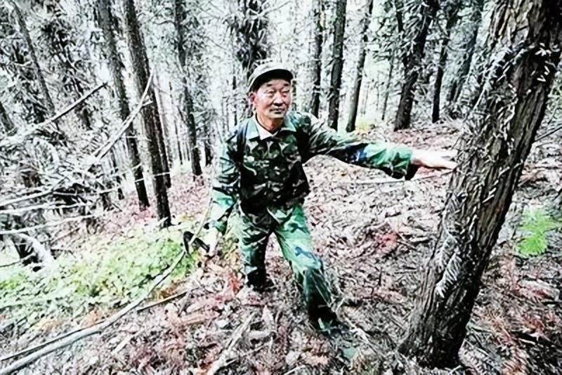 庄护林最新动态，绿色使命与时代地位的践行者