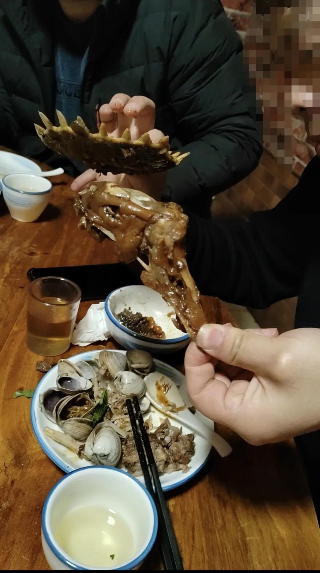 最新老鹅，传统与现代的深度对话或探讨