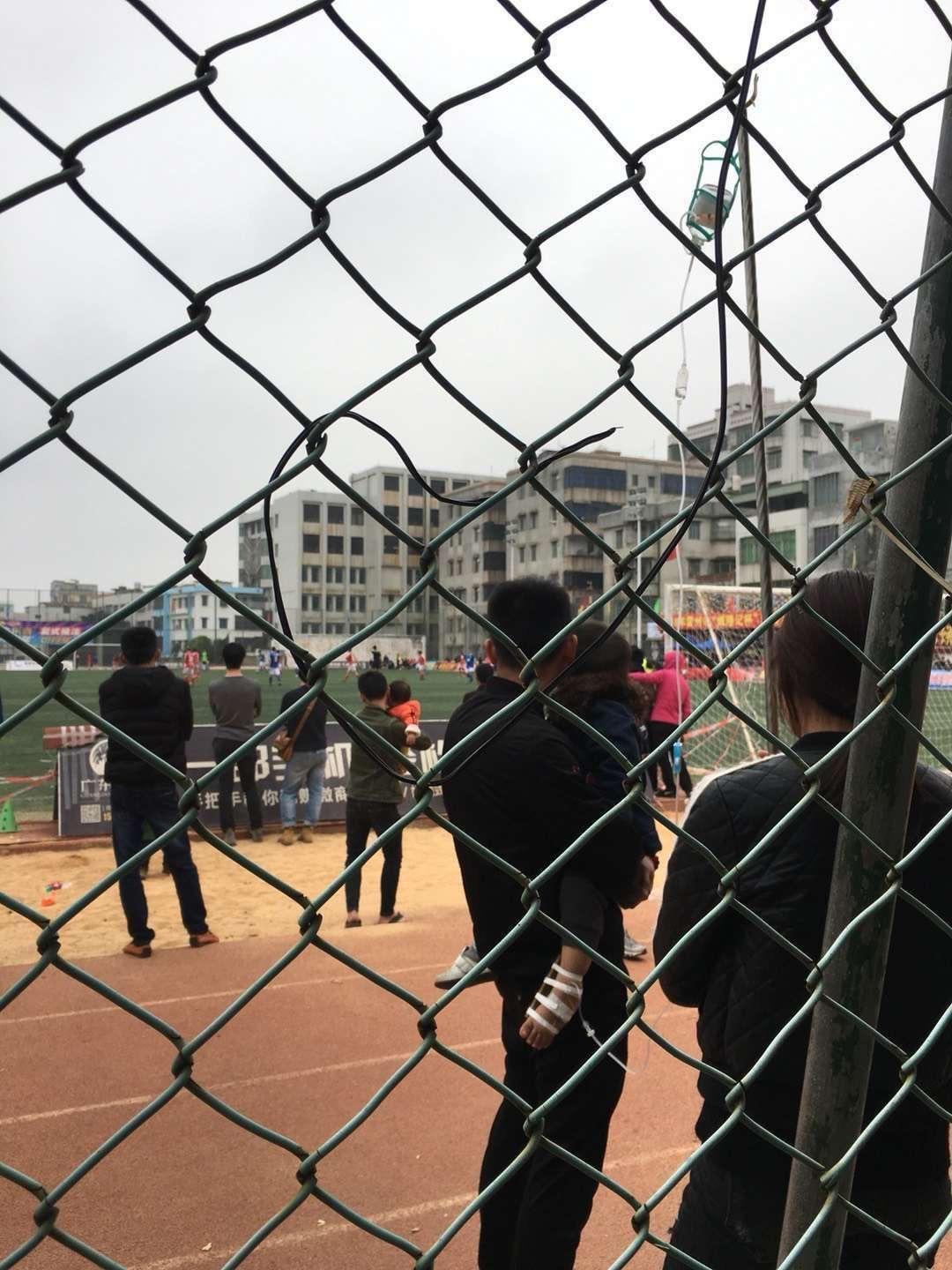 雷州疫情下的自然探索之旅,寻找内心的平和绿洲