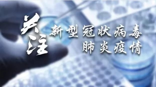 全球肺炎最新动态,应对策略与未来展望分析