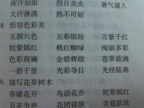 最新鲜时代浪潮,潮流前沿的活力涌动