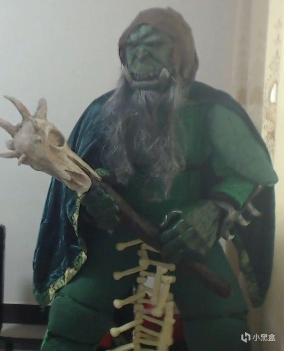 鸽子的奇妙日常与友情纽带,最新鸽子术揭秘