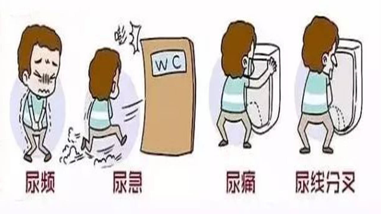 导热油旋转接头 第58页