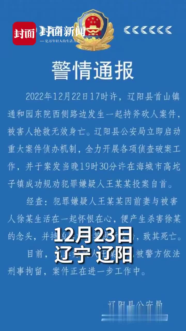 辽阳最新命案,深度探讨背后的悲剧真相