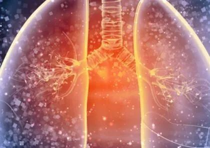 肺炎最新动态,疫情进展与论述