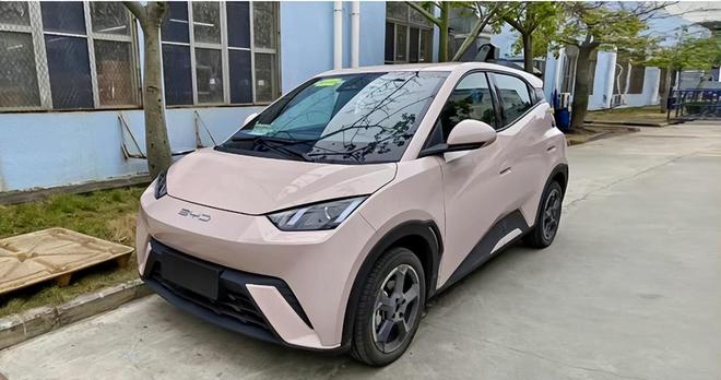 海鸥比亚迪最新引领新能源汽车新潮流趋势