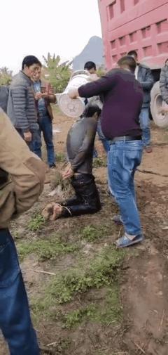 狗视频最新,时尚潮流、科普信息与互动娱乐一网打尽