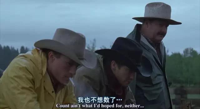 冷淡熊现象，探究其最新趋势、原因与影响