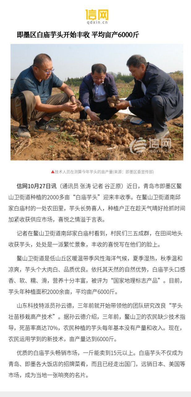 最新芋头行情,自然美景下的芋头旅行探索