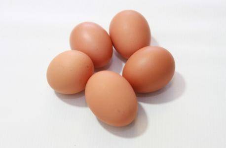 明天河南最新鸡蛋价格,智能鸡蛋新纪元来临,科技引领未来预测