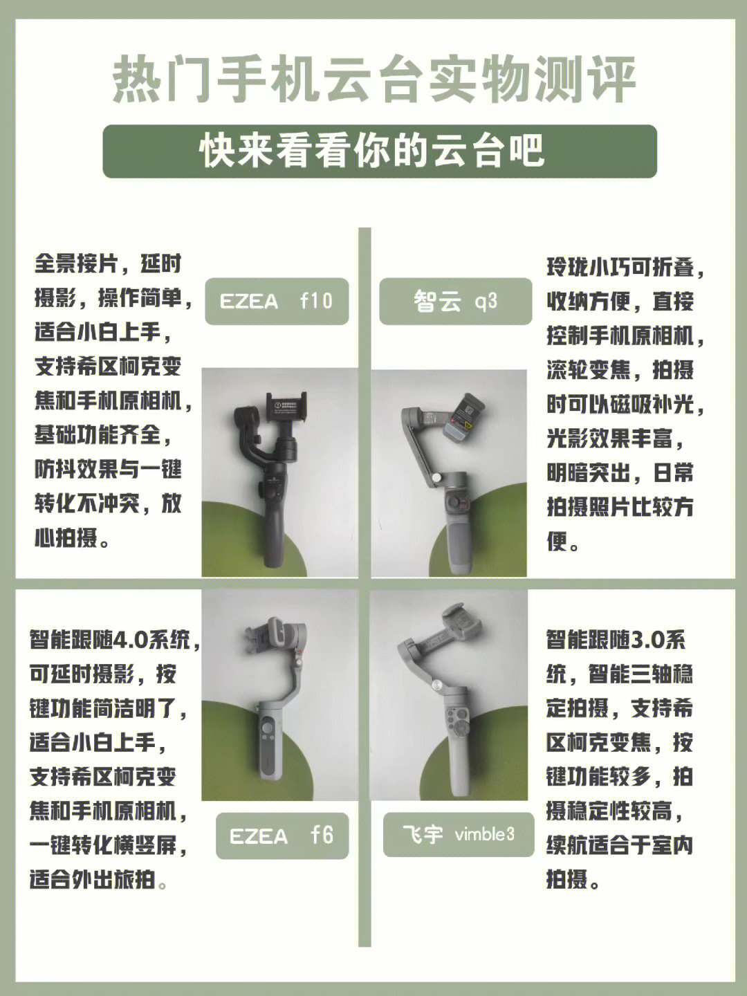 云台最新动态及观点论述解析