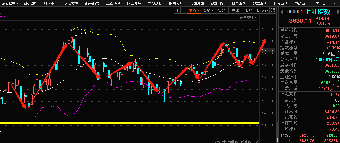 今日股票行情，变化中的学习盛宴与自信展现时刻