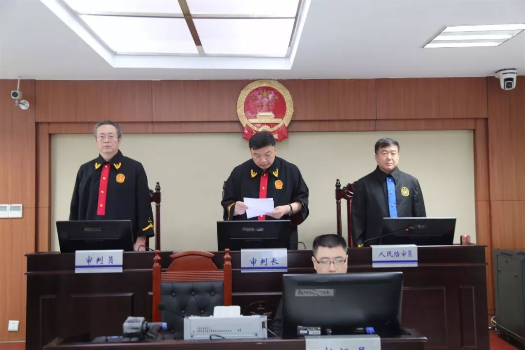 乐陵市法院最新判决详解,观点阐述与分析