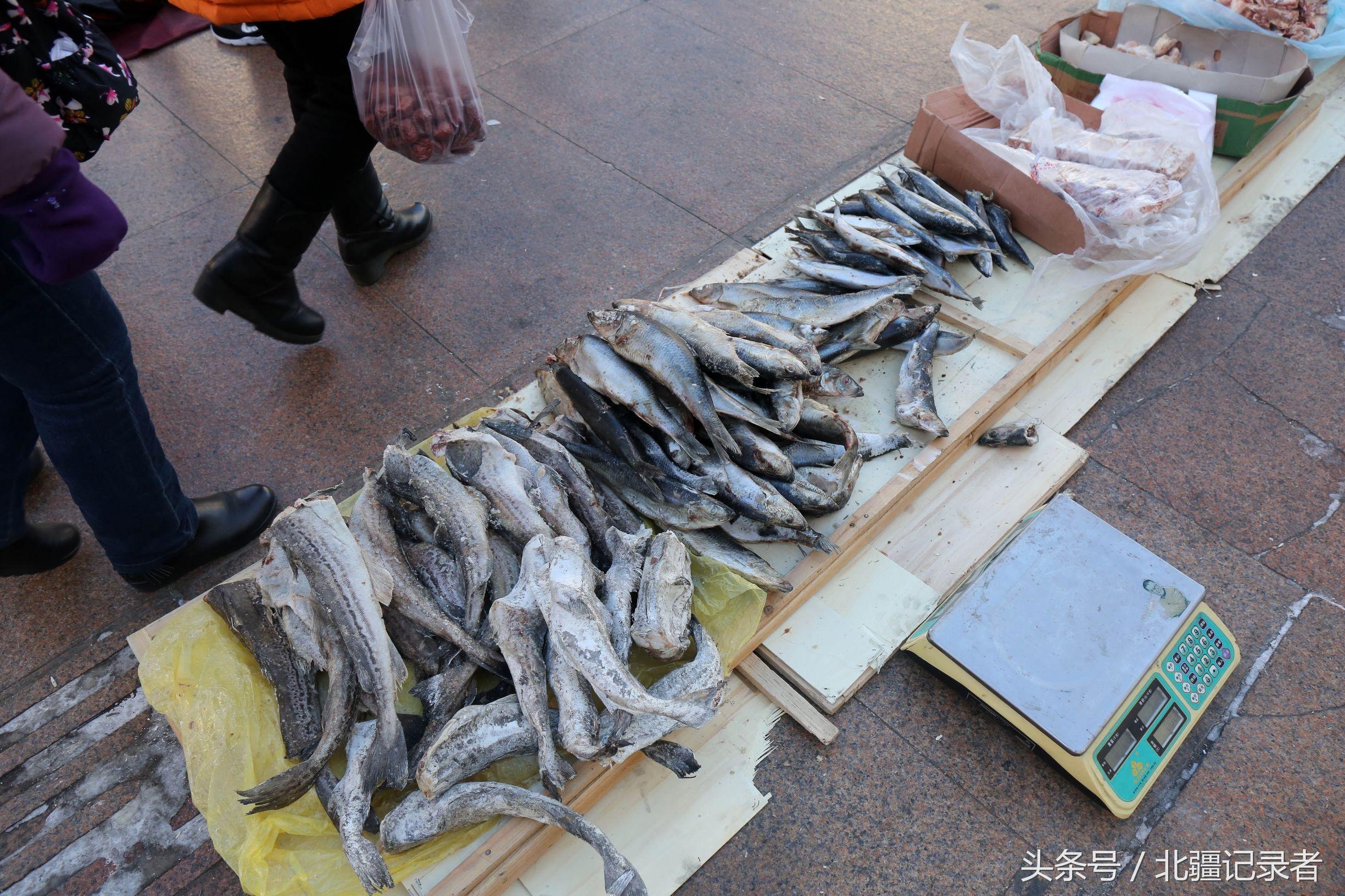 黑龙江疫情最新带鱼动态,最新带鱼情况分析与报告