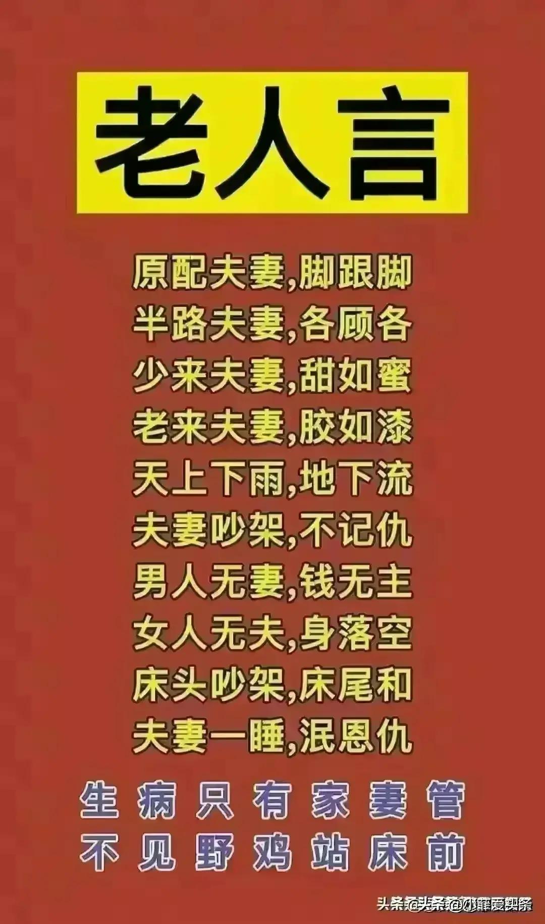 金价暴跌最新动态，自然美景之旅的呼唤