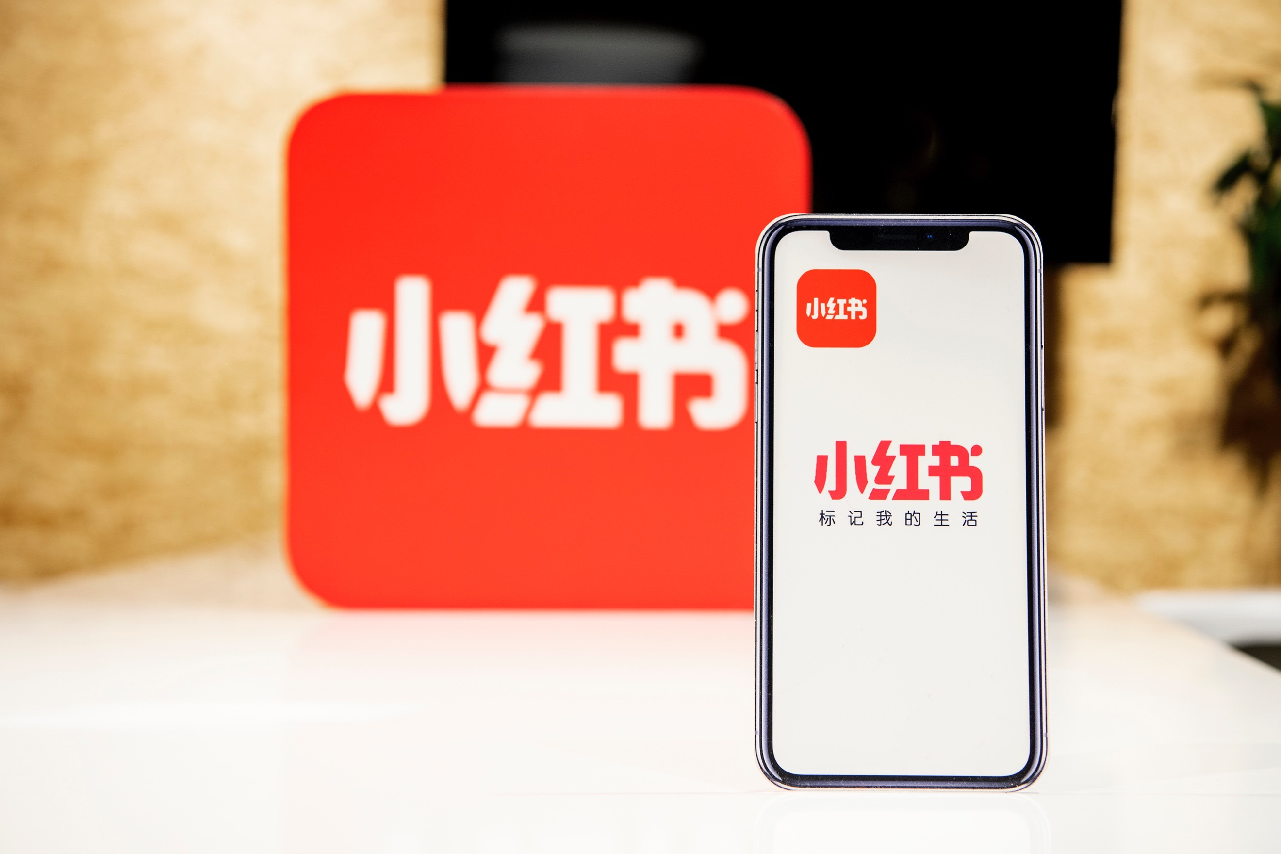 小红书最新揭秘,小巷风情与隐藏版特色小店探寻指南