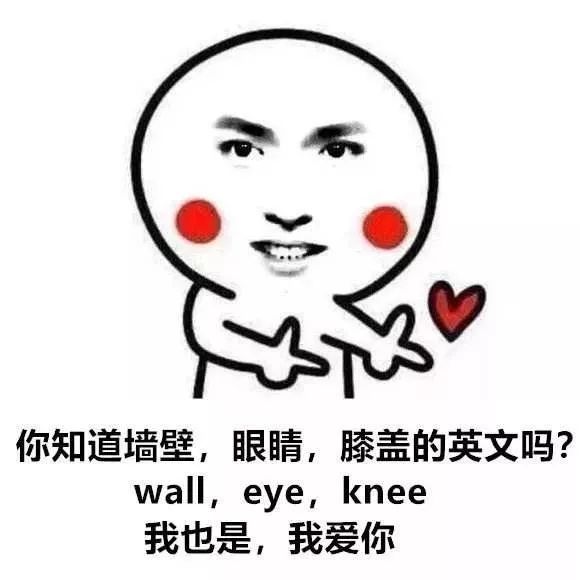 他那么撩最新一话深度解析与观点阐述