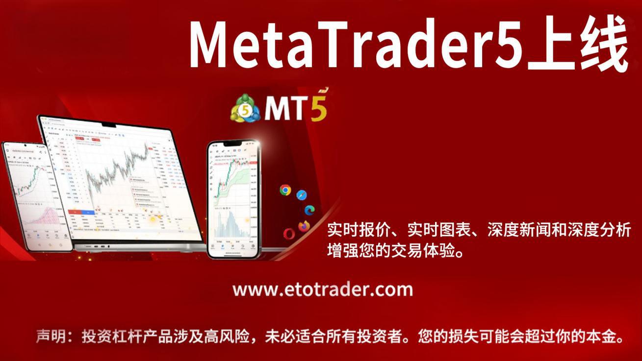 MT5最新版,友谊的魔力与日常趣事风采展示