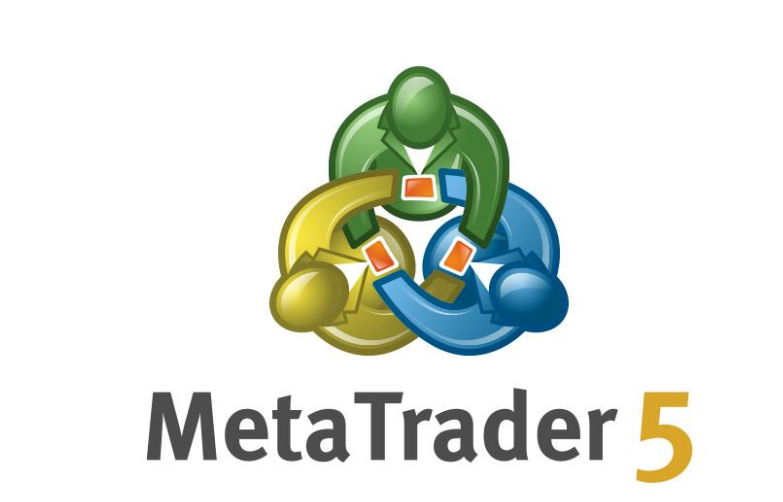 MT5最新版,友谊的魔力与日常趣事风采展示