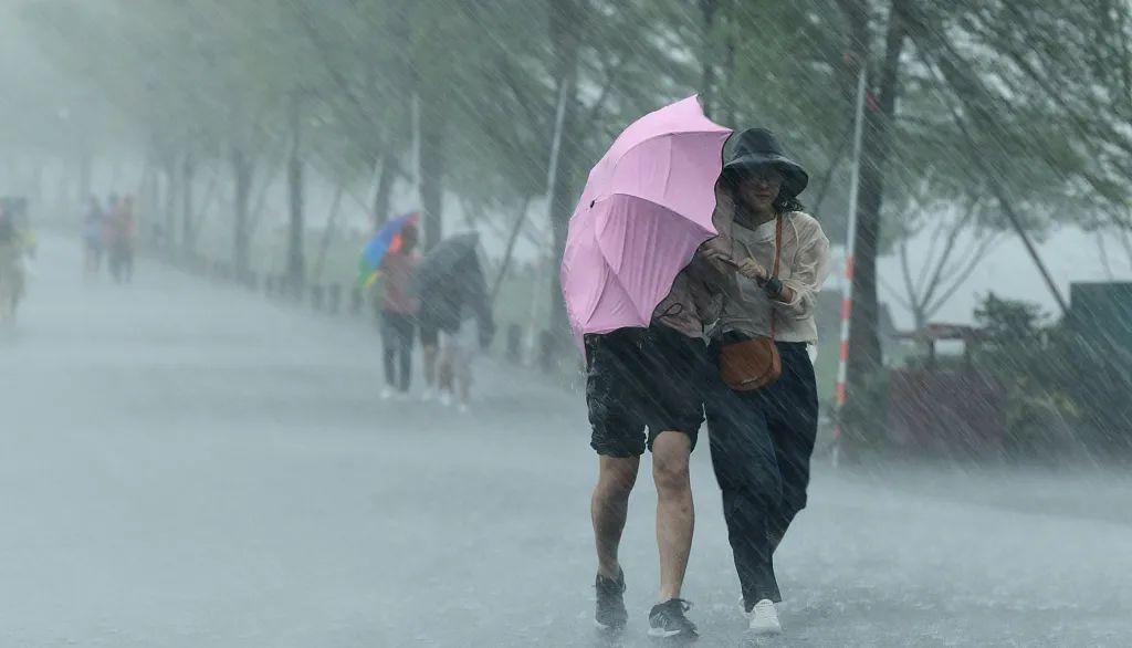 山东大暴雨最新预报，暴雨背后的故事与影响揭秘