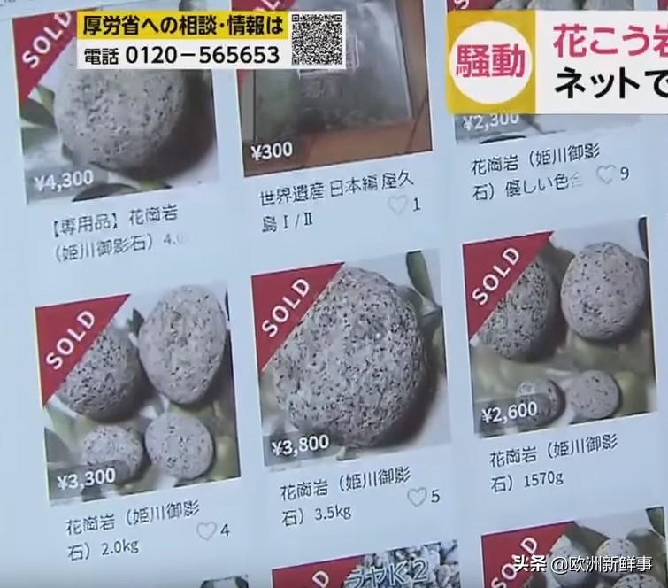 全球最新新冠肺炎病例智能追踪系统,科技助力抗疫之路