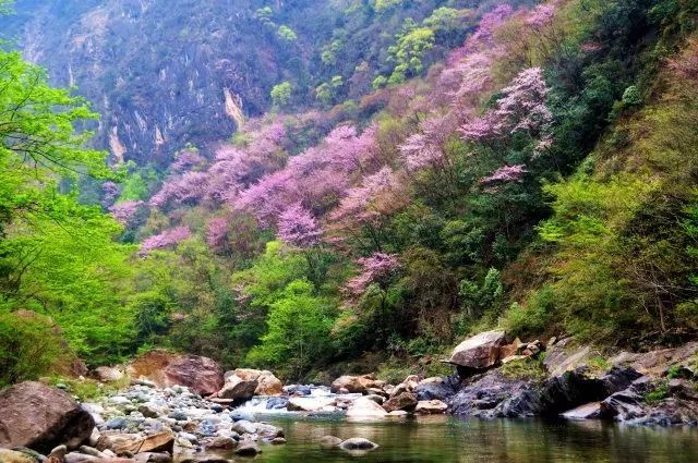 青川清溪最新动态,涓涓细流汇聚成海,学习成就自信之路