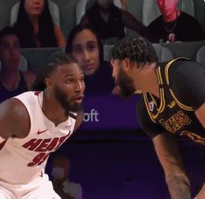 湖人总冠军最新图,热血重燃,紫金荣耀再现辉煌时刻!