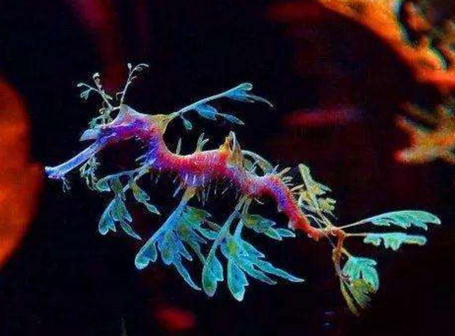 位置伪装大师最新版,时代产物彰显地位重要性